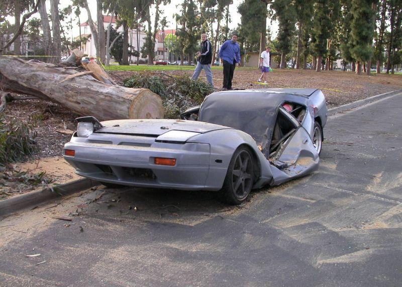 car-hit-tree.jpg